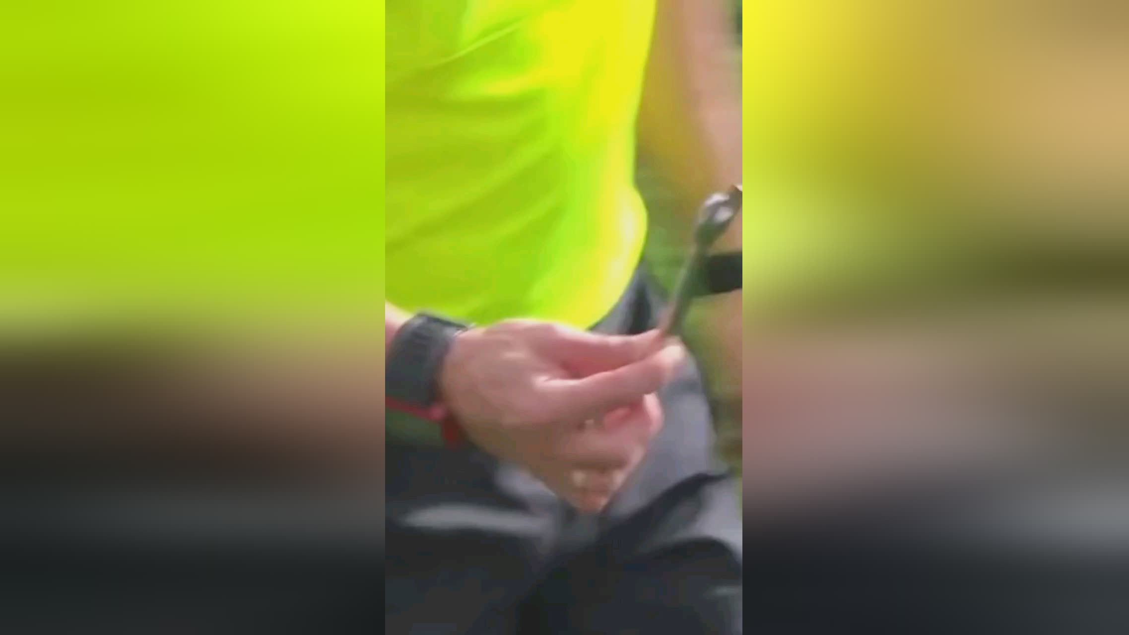 转换为所